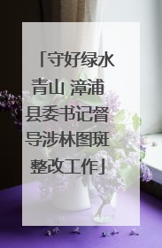 守好绿水青山 漳浦县委书记督导涉林图斑整改工作