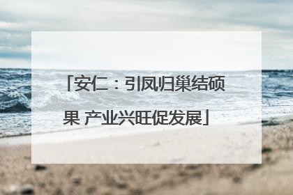 安仁：引凤归巢结硕果 产业兴旺促发展