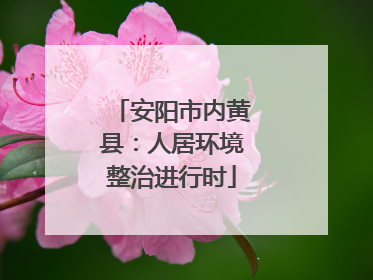 安阳市内黄县：人居环境整治进行时