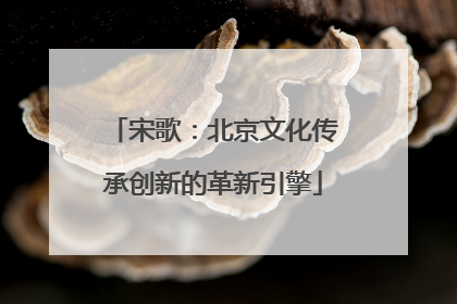 宋歌：北京文化传承创新的革新引擎