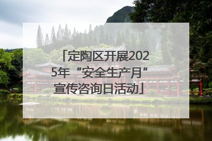 定陶区开展2025年“安全生产月”宣传咨询日活动