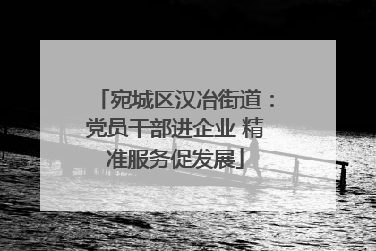 宛城区汉冶街道：党员干部进企业 精准服务促发展