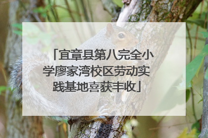 宜章县第八完全小学廖家湾校区劳动实践基地喜获丰收