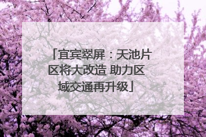宜宾翠屏：天池片区将大改造 助力区域交通再升级
