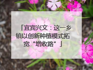 宜宾兴文：这一乡镇以创新种植模式拓宽“增收路”