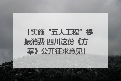 实施“五大工程”提振消费 四川这份《方案》公开征求意见