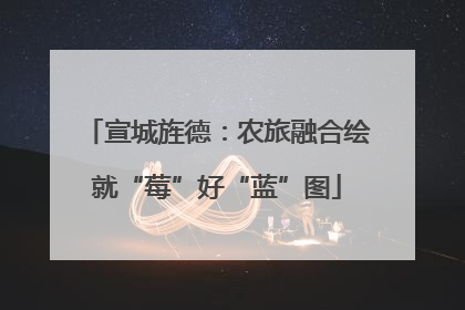 宣城旌德：农旅融合绘就“莓”好“蓝”图