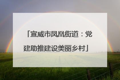宣威市凤凰街道：党建助推建设美丽乡村