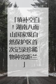 填补空白！湖南八面山国家级自然保护区首次记录珍稀物种宽距兰