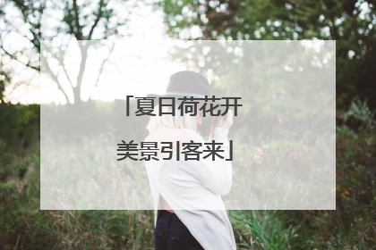 夏日荷花开 美景引客来