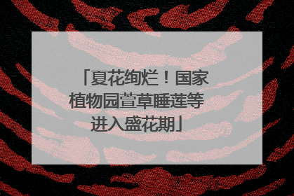 夏花绚烂！国家植物园萱草睡莲等进入盛花期