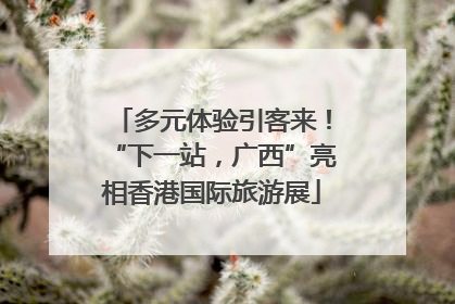 多元体验引客来！“下一站，广西”亮相香港国际旅游展