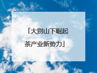 大别山下崛起茶产业新势力