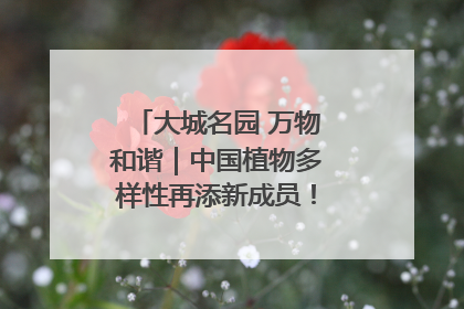 大城名园 万物和谐｜中国植物多样性再添新成员！它只在西藏墨脱