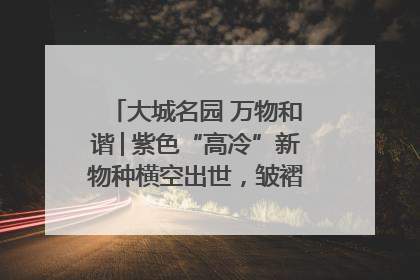 大城名园 万物和谐│紫色“高冷”新物种横空出世，皱褶叶片暗藏进化密码