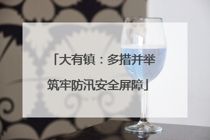 大有镇：多措并举筑牢防汛安全屏障