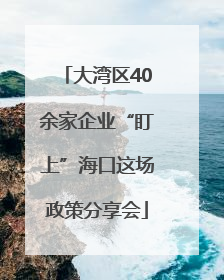 大湾区40余家企业“盯上”海口这场政策分享会