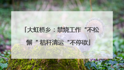 大虹桥乡：禁烧工作“不松懈“ 秸秆清运“不停歇