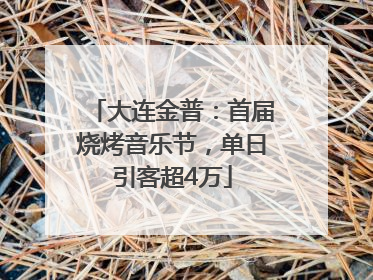 大连金普：首届烧烤音乐节，单日引客超4万