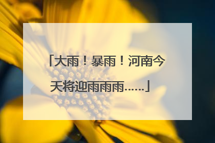 大雨！暴雨！河南今天将迎雨雨雨……