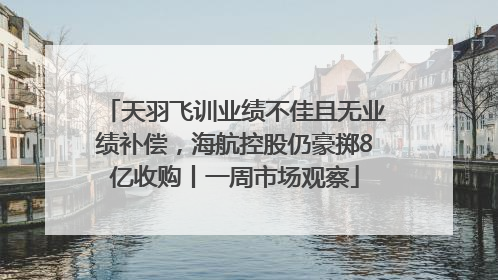 天羽飞训业绩不佳且无业绩补偿，海航控股仍豪掷8亿收购丨一周市场观察