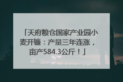 天府粮仓国家产业园小麦开镰：产量三年连涨，亩产584.3公斤！