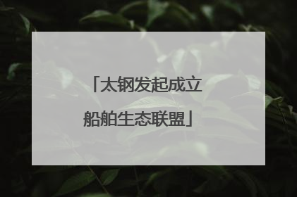 太钢发起成立船舶生态联盟