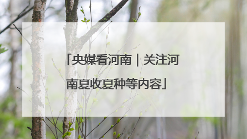 央媒看河南｜关注河南夏收夏种等内容