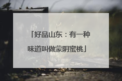 好品山东：有一种味道叫做蒙阴蜜桃