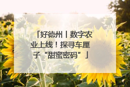 好德州丨数字农业上线！探寻车厘子“甜蜜密码”
