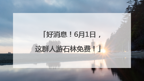 好消息！6月1日，这群人游石林免费！