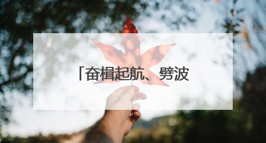 奋楫起航、劈波斩浪——第二届法兰克福国际龙舟友谊赛激情开桨！