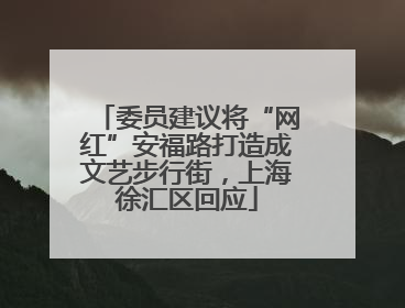 委员建议将“网红”安福路打造成文艺步行街，上海徐汇区回应