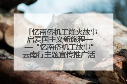 忆南侨机工烽火故事 启爱国主义新旅程——“忆南侨机工故事”云南行主题宣传推广活动圆满收官