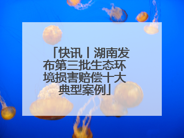 快讯丨湖南发布第三批生态环境损害赔偿十大典型案例