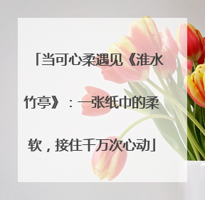 当可心柔遇见《淮水竹亭》：一张纸巾的柔软，接住千万次心动