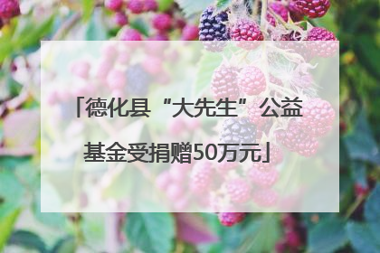 德化县“大先生”公益基金受捐赠50万元