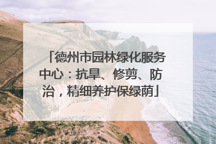 德州市园林绿化服务中心：抗旱、修剪、防治，精细养护保绿荫