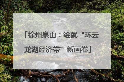 徐州泉山：绘就“环云龙湖经济带”新画卷