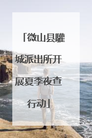 微山县驩城派出所开展夏季夜查行动