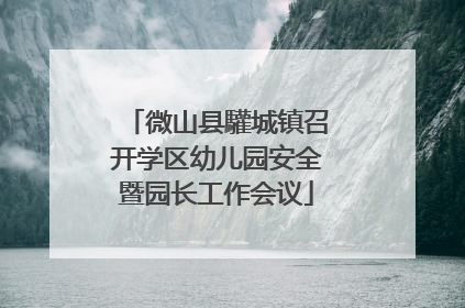 微山县驩城镇召开学区幼儿园安全暨园长工作会议