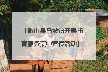 微山县马坡镇开展托育服务集中宣传活动