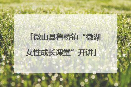 微山县鲁桥镇“微湖女性成长课堂”开讲