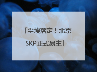 尘埃落定！北京SKP正式易主