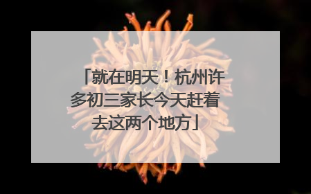 就在明天！杭州许多初三家长今天赶着去这两个地方
