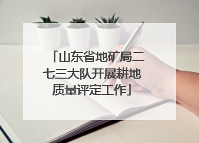山东省地矿局二七三大队开展耕地质量评定工作