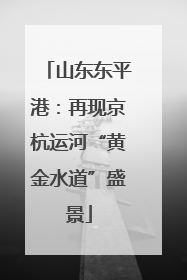 山东东平港：再现京杭运河“黄金水道”盛景