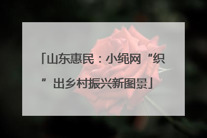 山东惠民：小绳网“织”出乡村振兴新图景