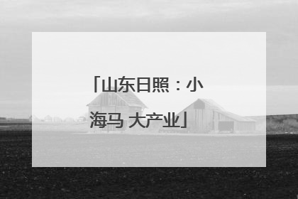 山东日照：小海马 大产业