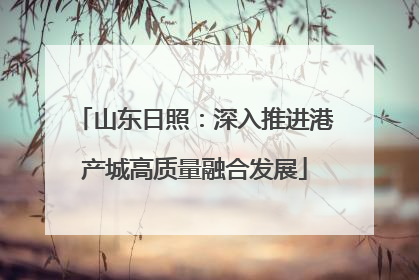 山东日照：深入推进港产城高质量融合发展